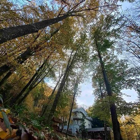 База Відпочинку Шиповець Poroshkovo Esterno foto